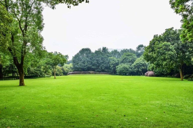 Land Mortgage in the UK Complete Guide